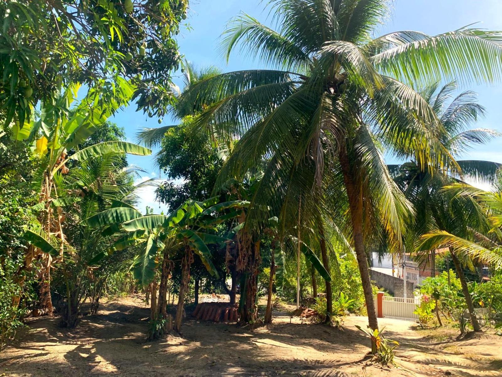 Jacarecica Haus Hotel Maceió Екстериор снимка